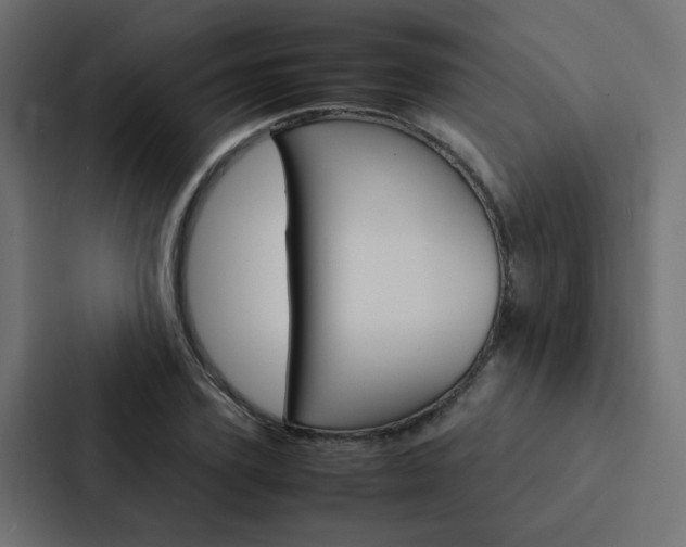 X0000088230931200705151046