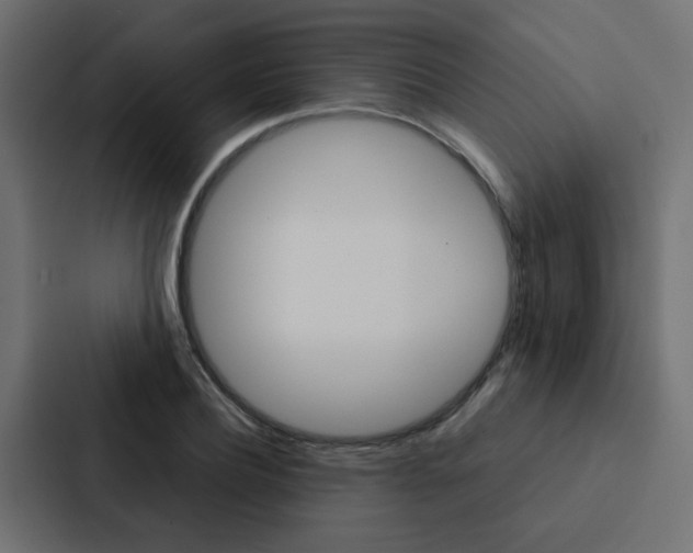 X0000088230932200705151046