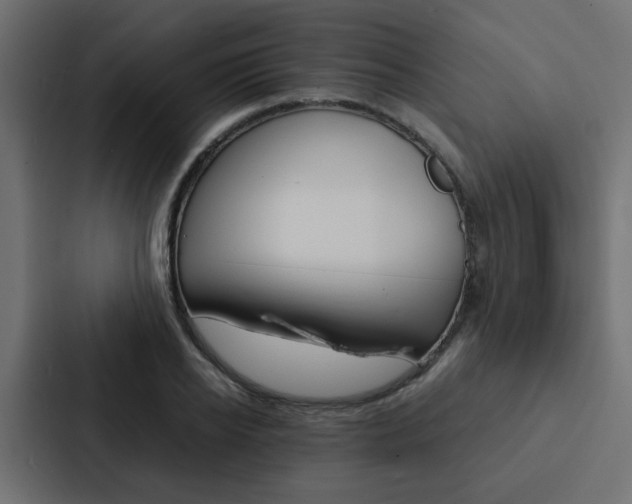 X0000088230934200705151046