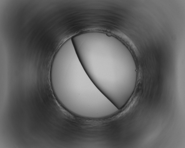 X0000088230937200705151046