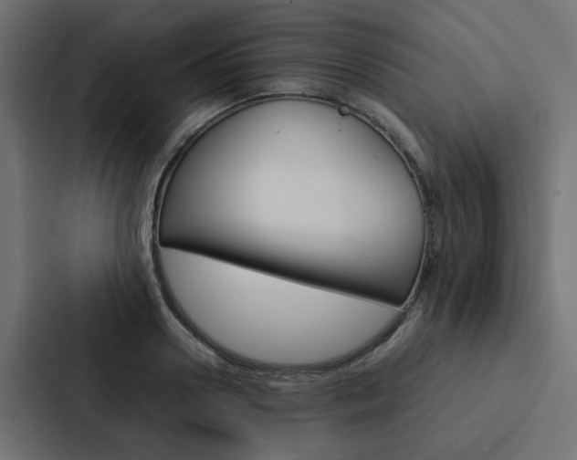 X0000088230938200705151046