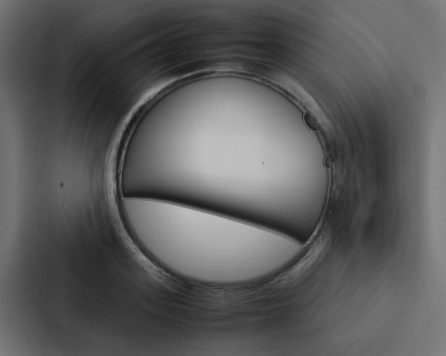 X0000088230939200705151046