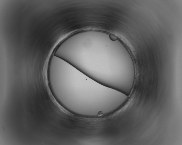 X0000088230941200705151046