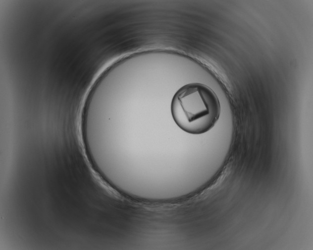 X0000088230942200705151046