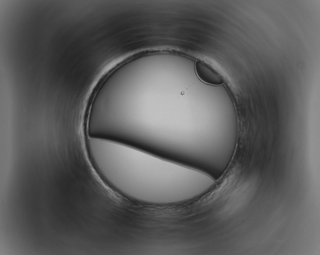 X0000088230943200705151046