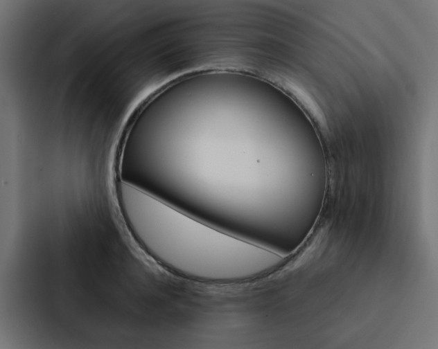 X0000088230944200705151046