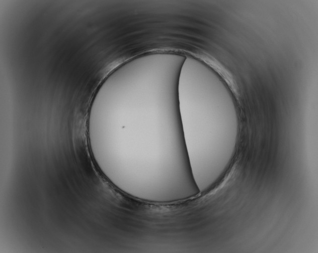 X0000088230945200705151046