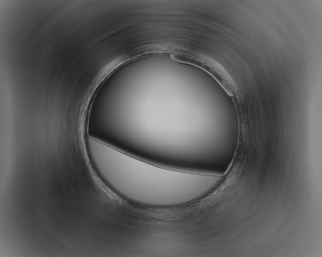 X0000088230946200705151046