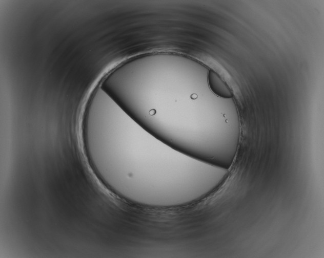 X0000088230947200705151046