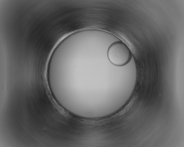 X0000088230948200705151046