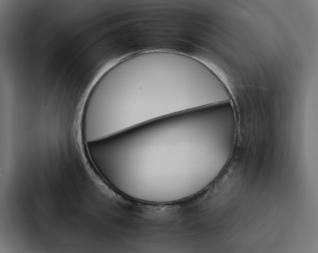 X0000088230949200705151046