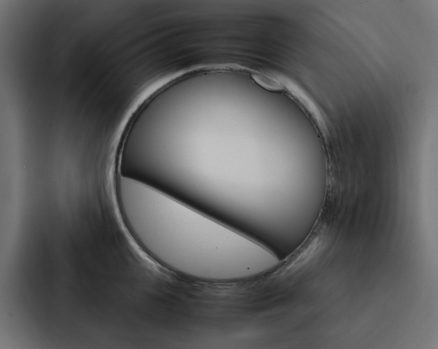 X0000088230951200705151046