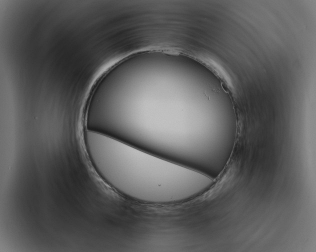 X0000088230952200705151046