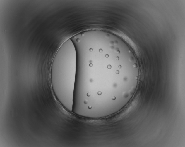 X0000088230953200705151046