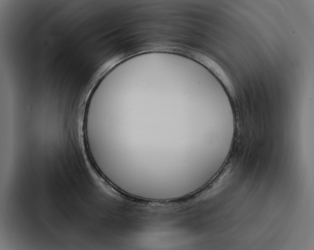 X0000088230954200705151046