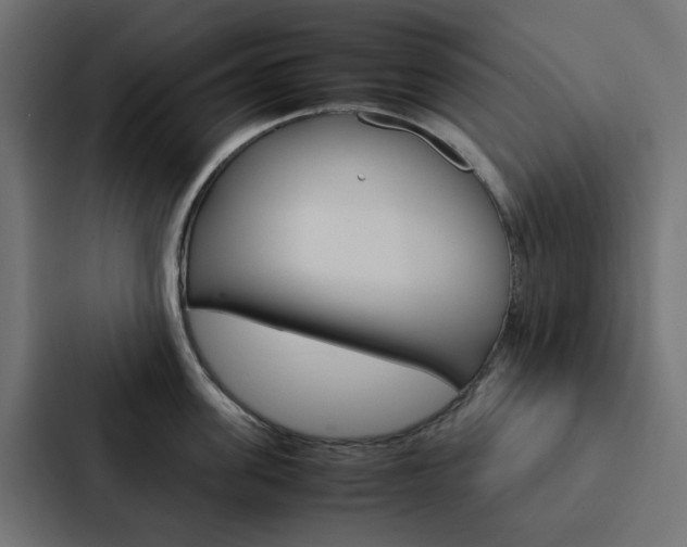 X0000088230955200705151046