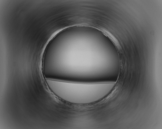 X0000088230956200705151046