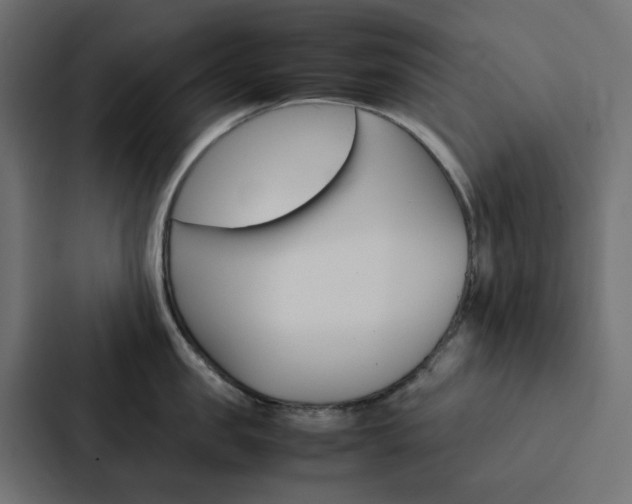 X0000088230957200705151046