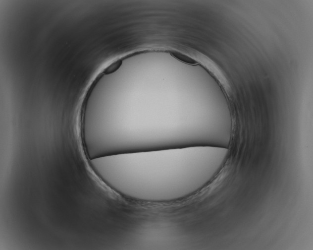 X0000088230958200705151046