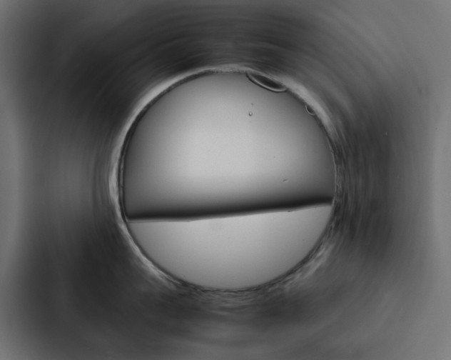 X0000088230959200705151046