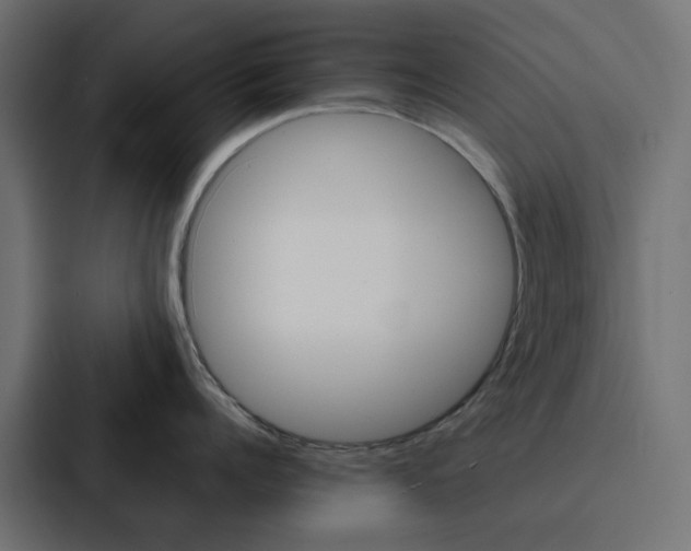 X0000088230960200705151046