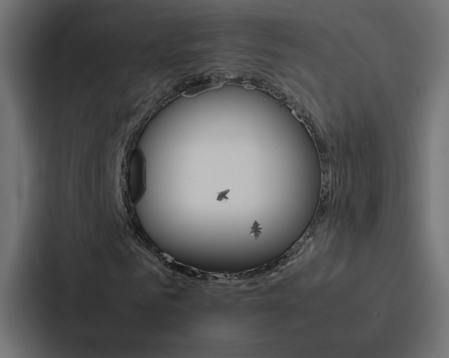 X0000088230961200705151046