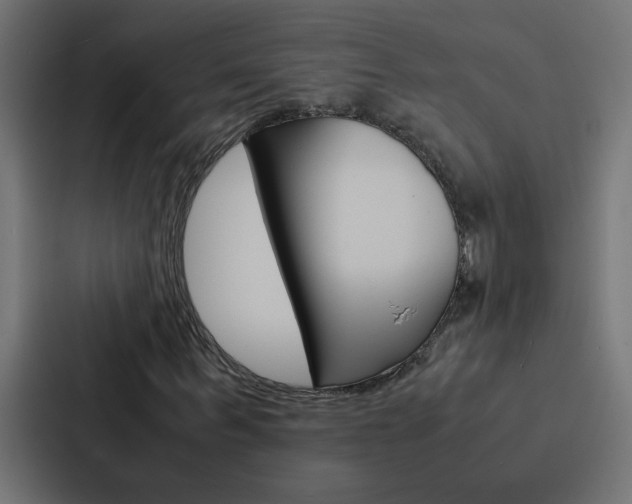 X0000088230963200705151046