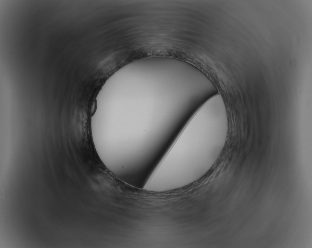 X0000088230964200705151046
