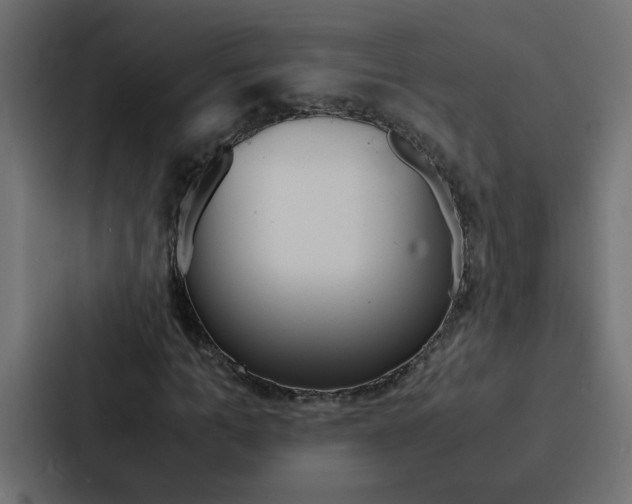 X0000088230965200705151046