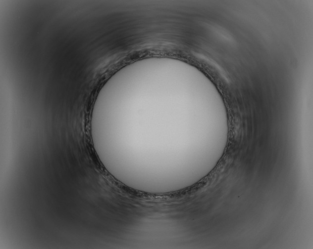 X0000088230966200705151045