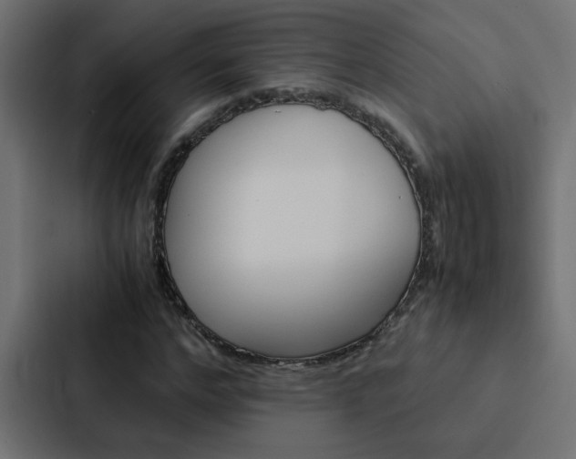 X0000088230968200705151045