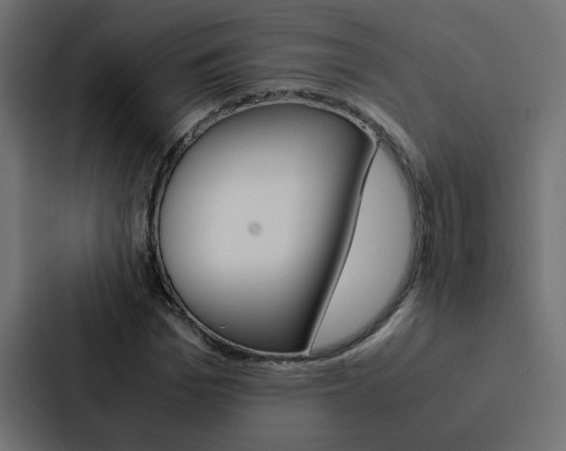 X0000088230969200705151045