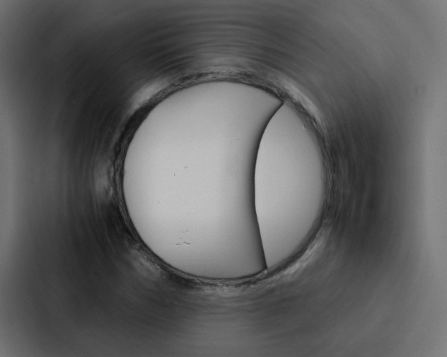 X0000088230970200705151045