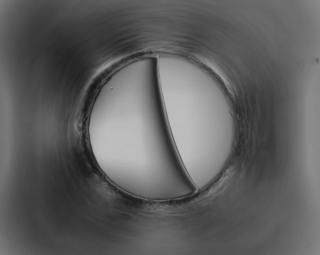 X0000088230971200705151045