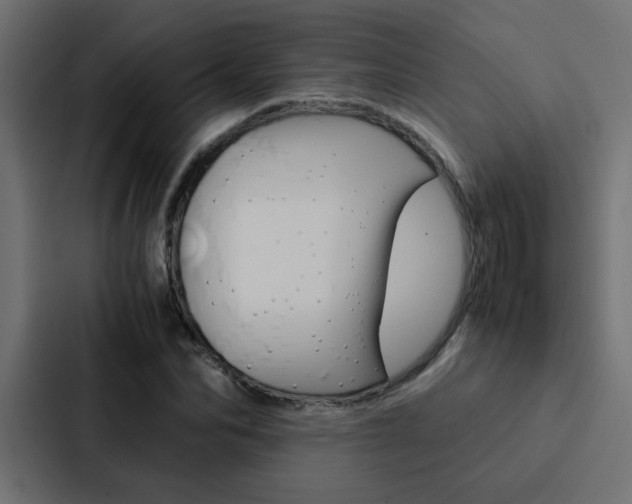 X0000088230974200705151045