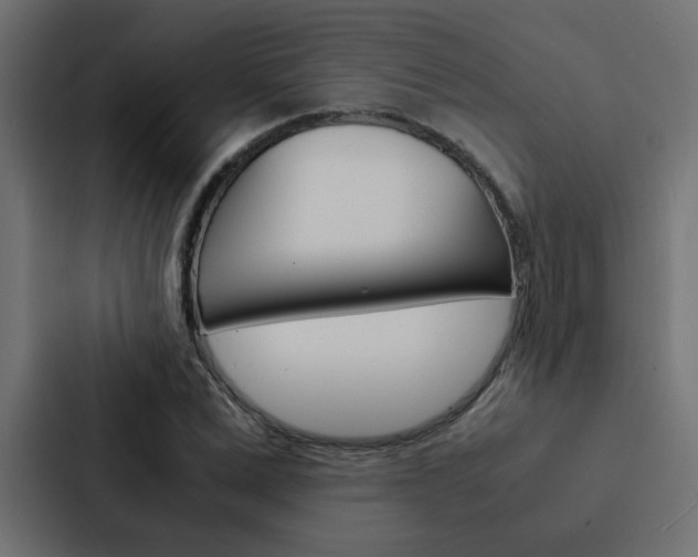 X0000088230975200705151045