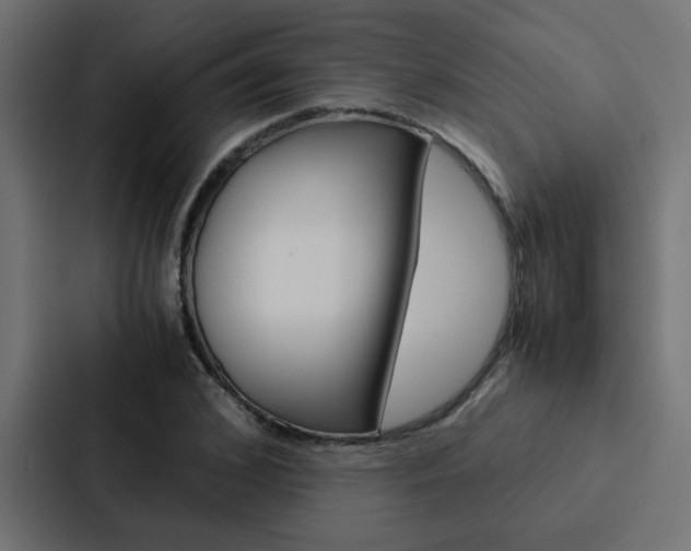 X0000088230976200705151045