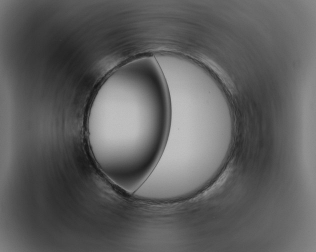 X0000088230977200705151045