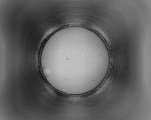 X0000088230978200705151045