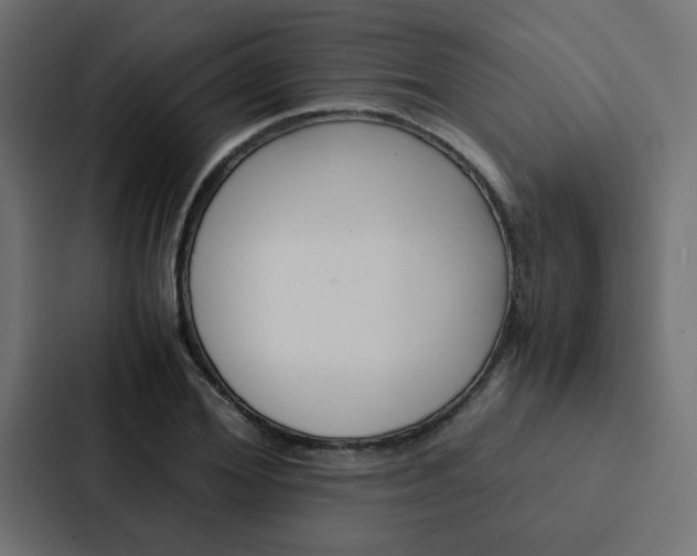 X0000088230980200705151045