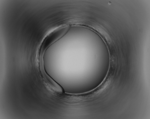 X0000088230981200705151045
