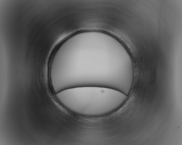 X0000088230982200705151045