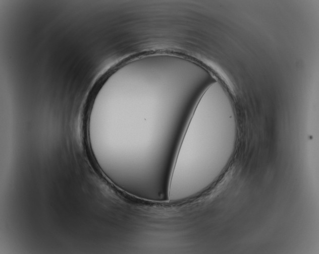 X0000088230983200705151045