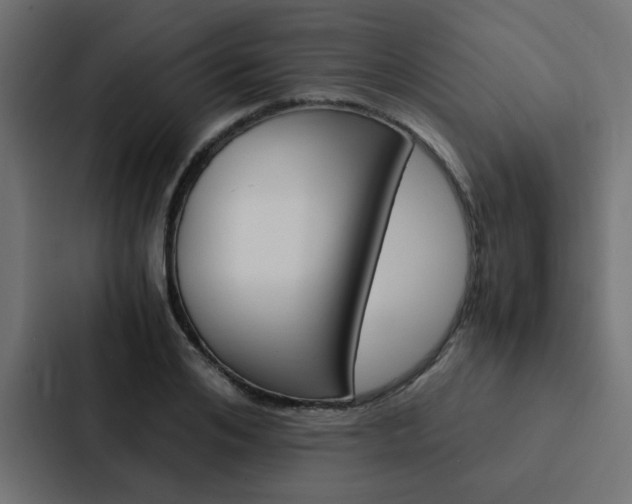 X0000088230984200705151045