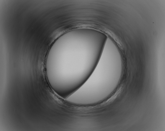 X0000088230985200705151045