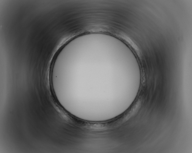 X0000088230986200705151045