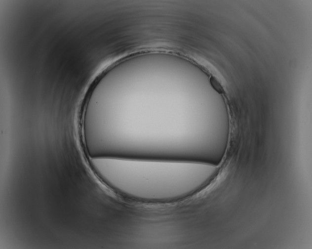 X0000088230989200705151045