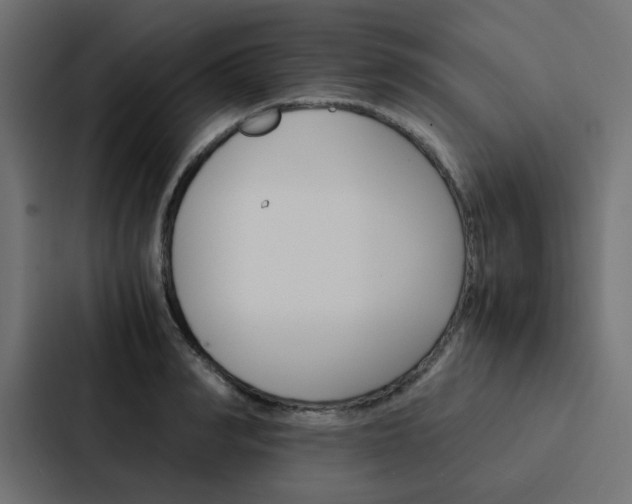 X0000088230990200705151045