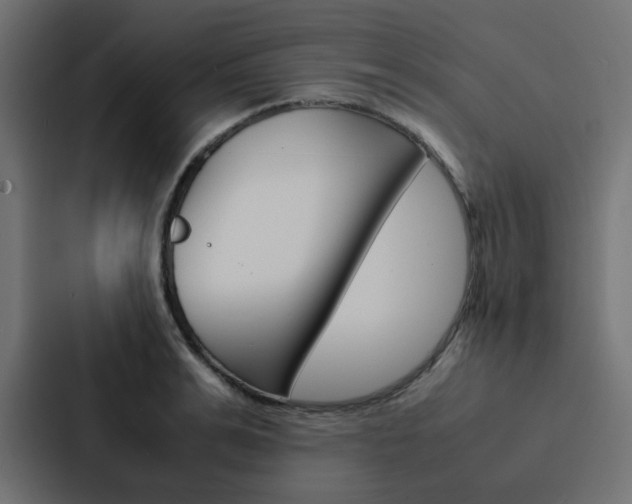 X0000088230991200705151045