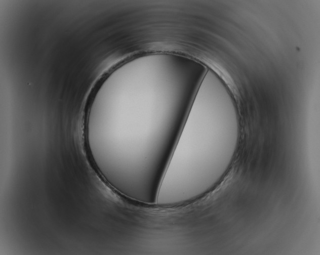 X0000088230992200705151045
